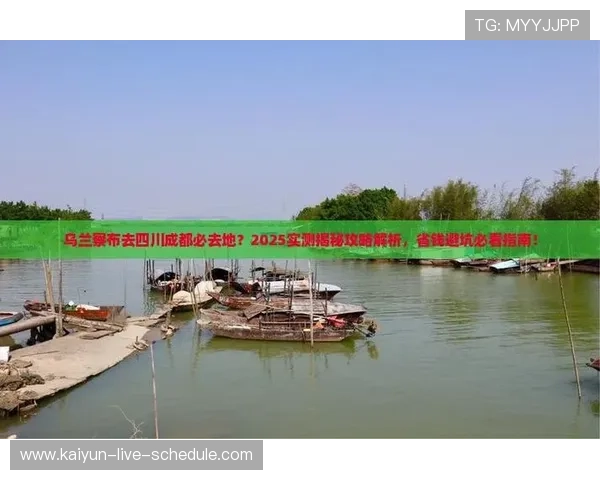 波胆高赔率诱惑怎么防 防骗避坑指南